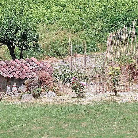 ゲストハウス Domaine De La Petite Tour 3*