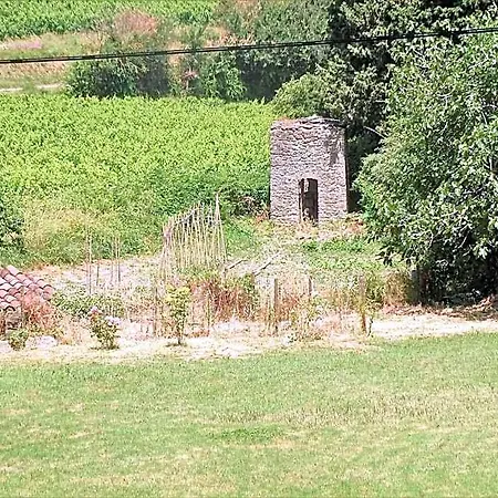 Domaine De La Petite Tour